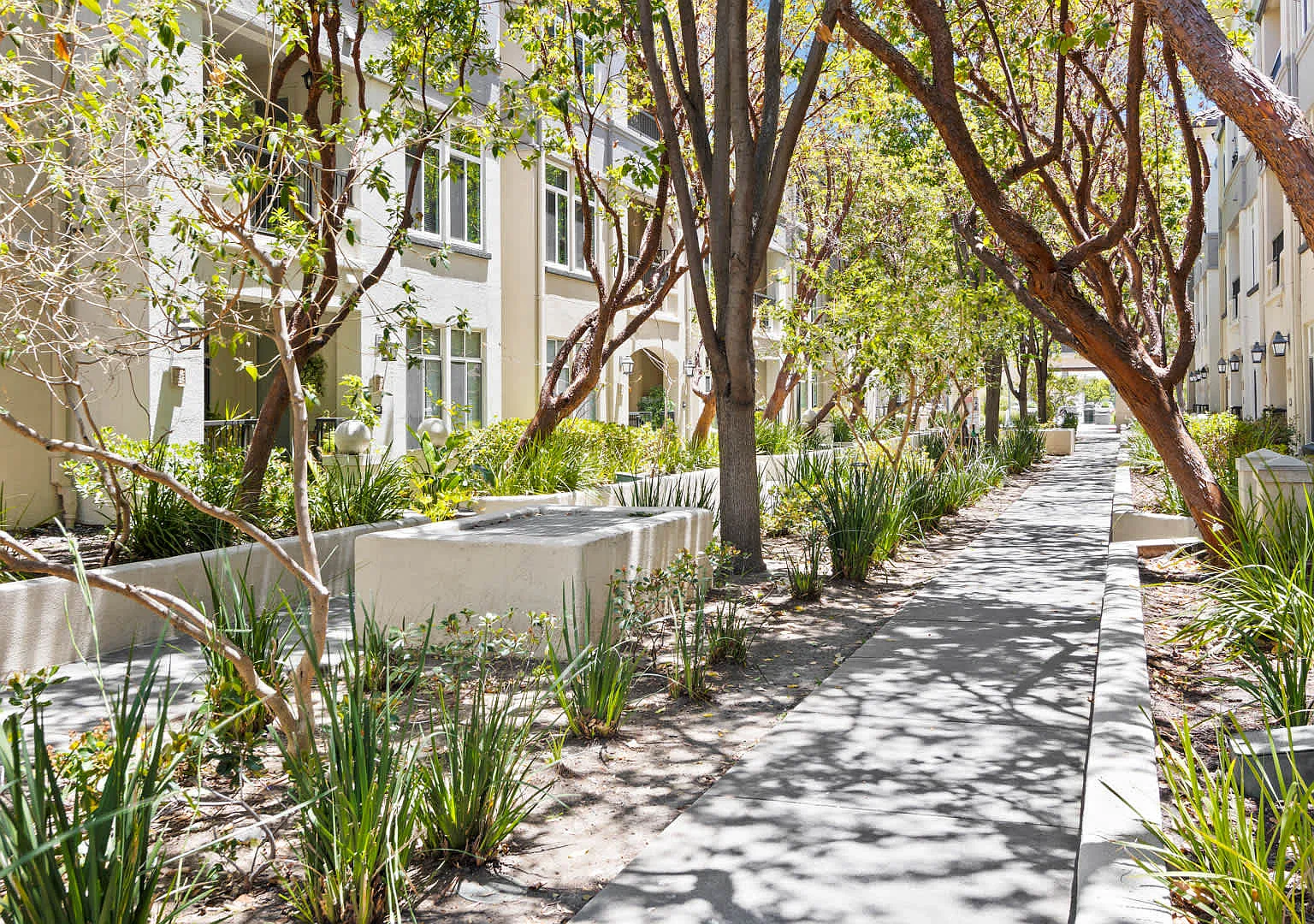 Park Place at San Mateo — Photo 2