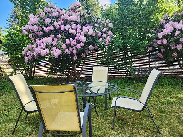 backyard, space for a garden