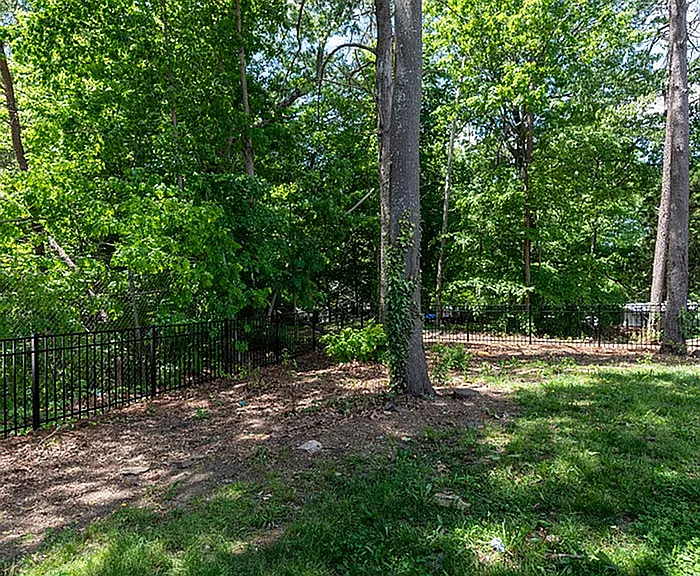 Experience tranquility in this lush backyard oasis with ample greenery and majestic trees.