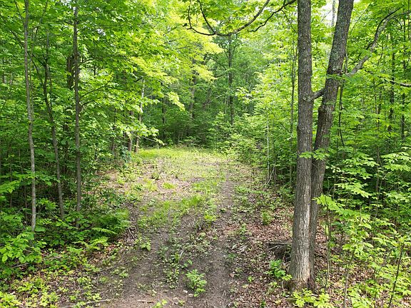 2nd image of PARCEL Ticonderoga Trl #D