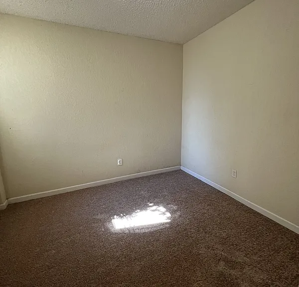 218 Dorset St #1 — Photo 15