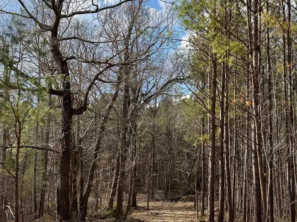 1 County Road 79, Danville, AL 35619