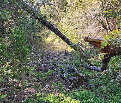 4th image of (Undisclosed Address)