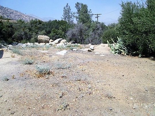 1st image of Pine Dr