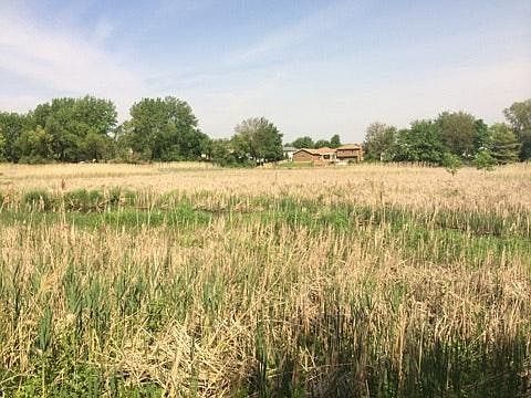 Rock Run Creek out your back door