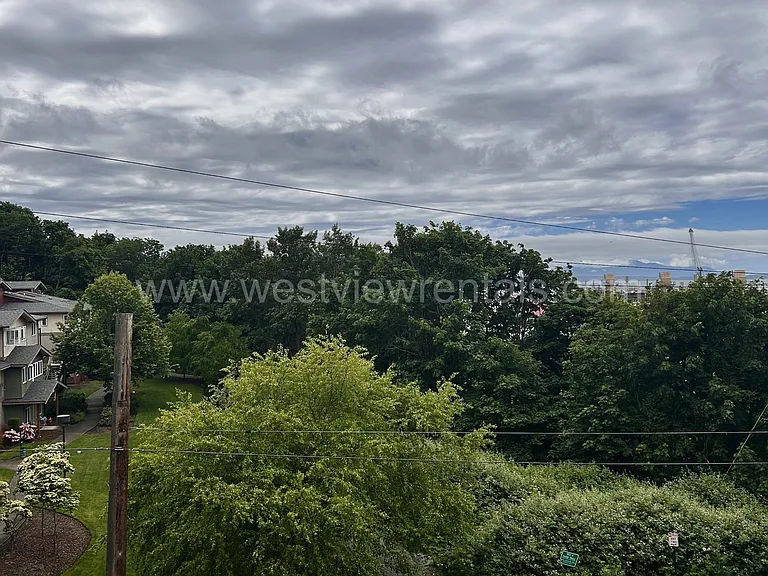 203 E Laurel St — Photo 311