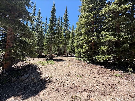 2nd image of 339 Silverheels Place