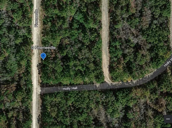 LOT 212 Pineneedle Lot 212, Livingston, TX 77351