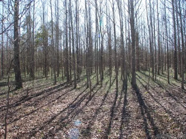 788 Lewisburg Rd, Austin, AR 72007