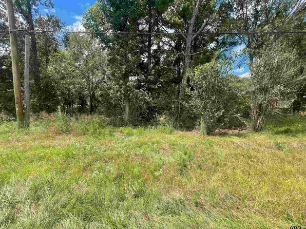 13280 County Road 1125, Tyler, TX 75709