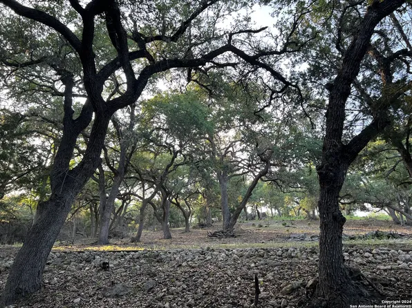 1013 JURASSIC LN LOT 46, Spring Branch, TX 78070