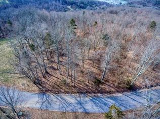 Sapphire Ct, New tazewell, TN 37825