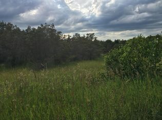 S Palmer Rd, Onaway, MI 49765