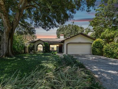 3500 35th St N, Saint Petersburg, FL, 33713