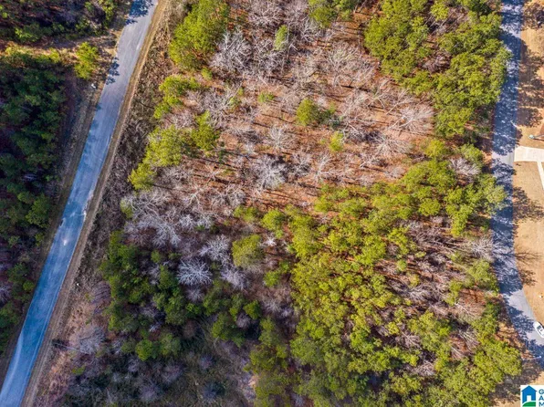 0 Cottage Dr Lot 303, Sylacauga, AL 35151