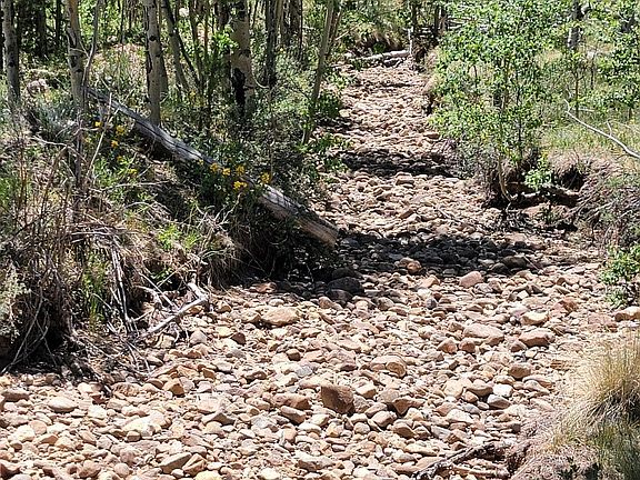 4th image of 542 Thickspike Road