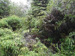 LOT 47, Volcano, HI 96785