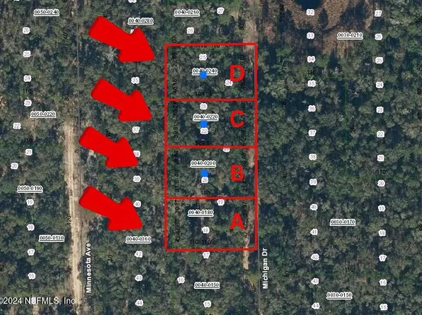 0000000 MICHIGAN Drive, Interlachen, FL 32640