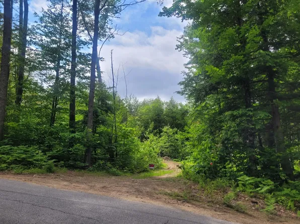 86 Currier Road Lot 27, Hill, NH 03243