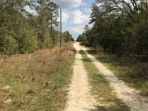 NE 63rd Pl Lot 26, Williston, FL 32696