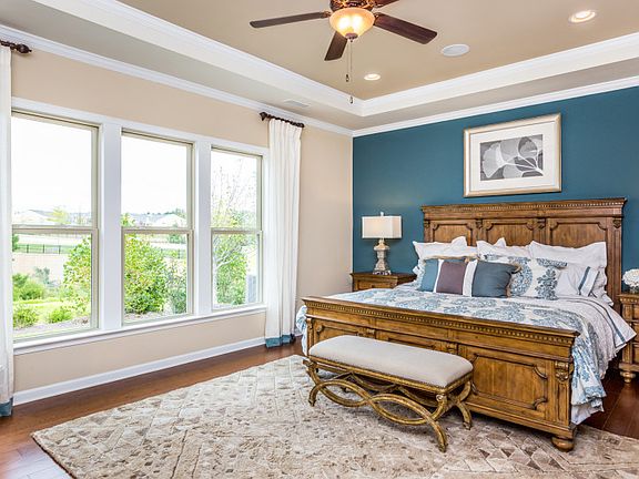 Model Representation