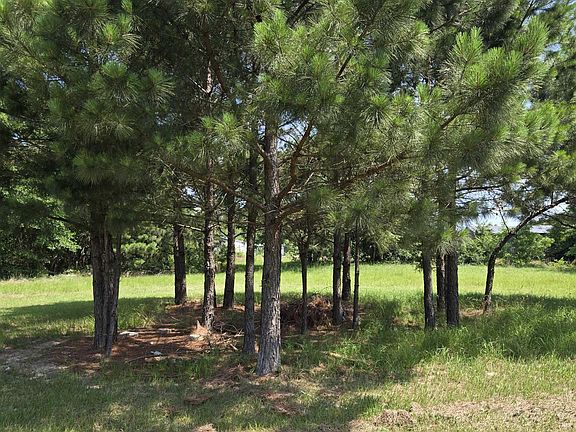 2nd image of County Road 485