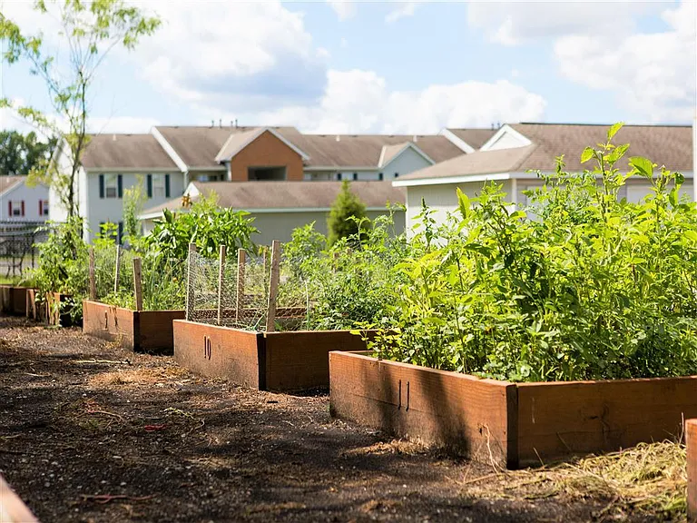 Dooley's Orchard community garden areas.
