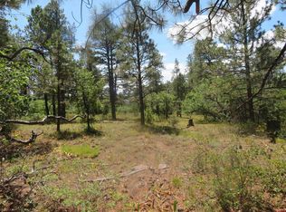 142 Rimview Road, Pagosa Springs, CO 81147