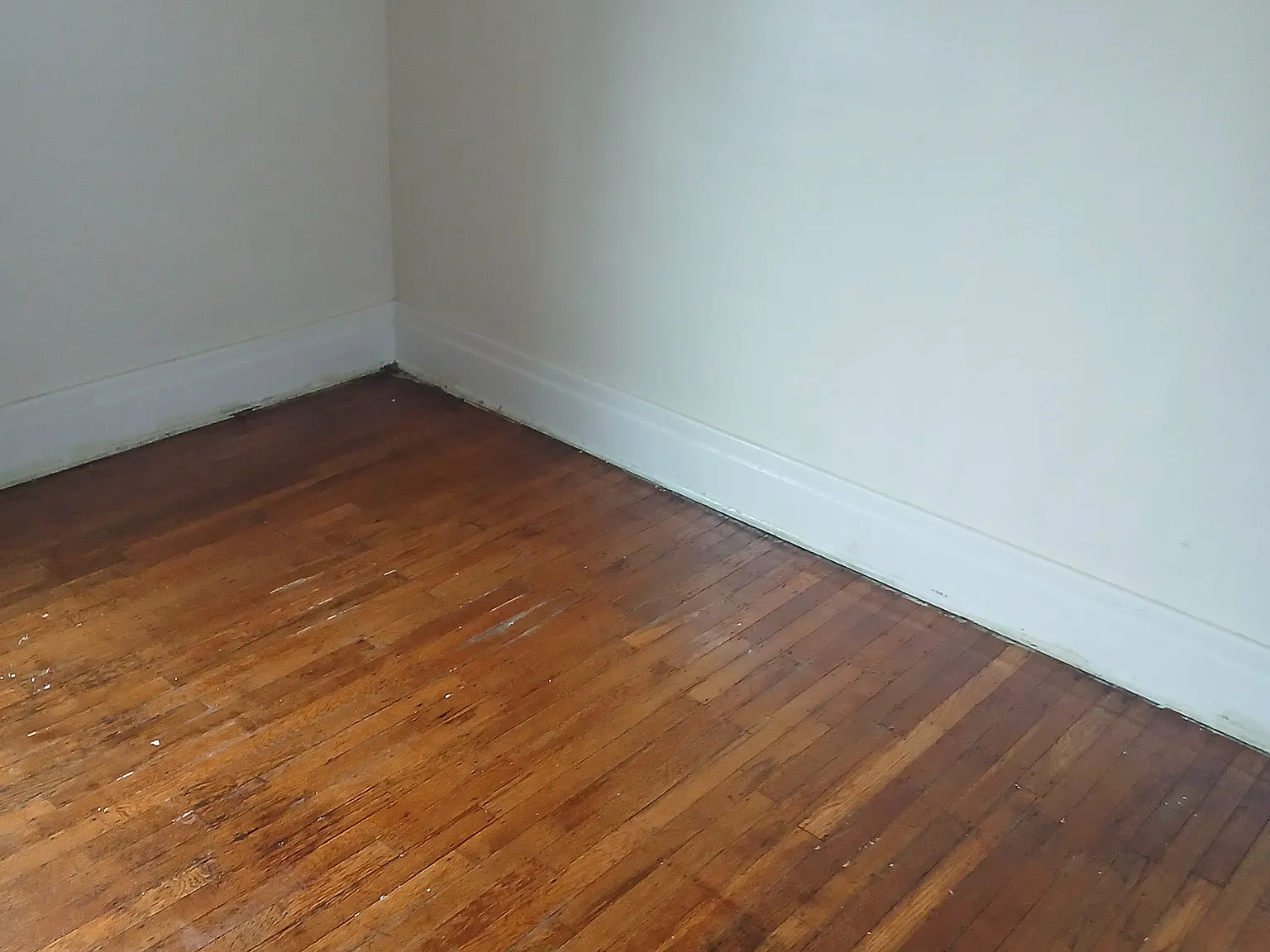 2 bed, 1600 sqft, $1,000 — Photo 4