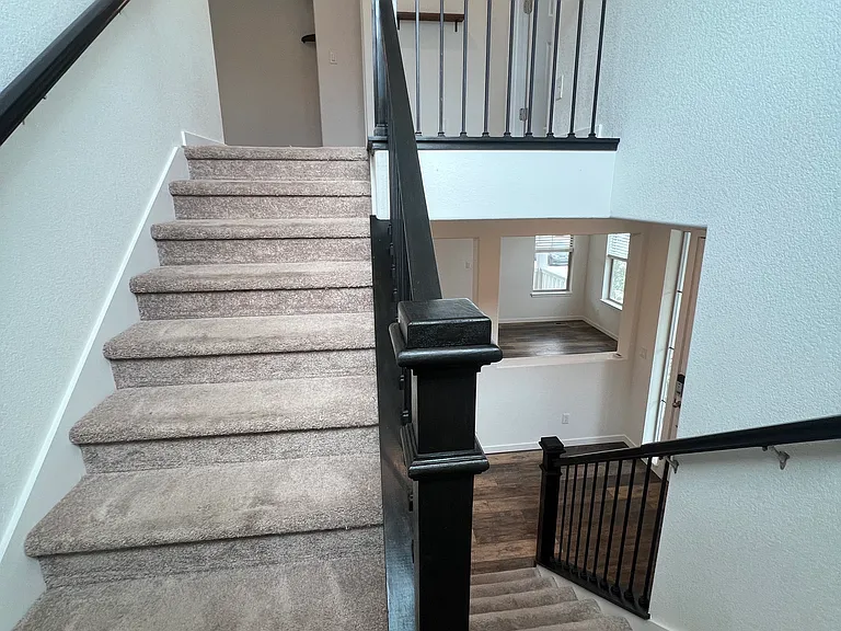 8403 Bijou Creek Ave — Photo 13