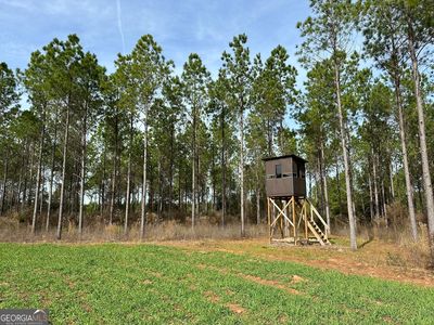 2211 Lower Shellman Rd, Cuthbert, GA, 39840