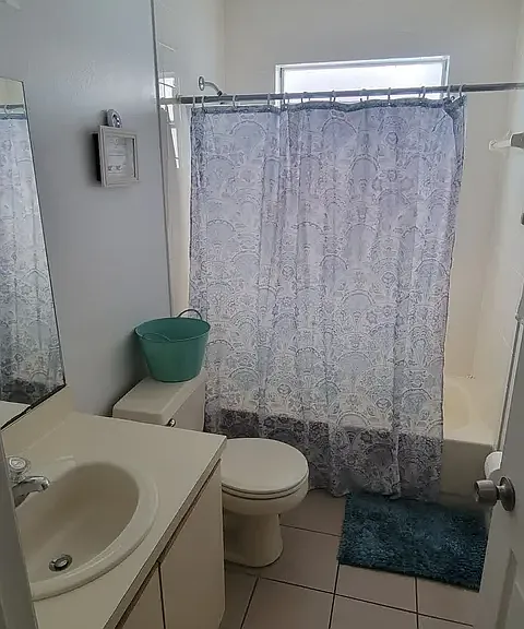 Hall Bathroom