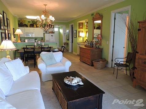 Main Living Area