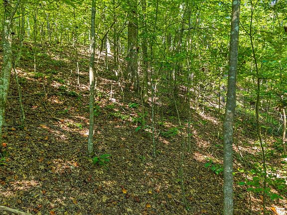 5th image of 0 Eagle Point Dr Lot 8