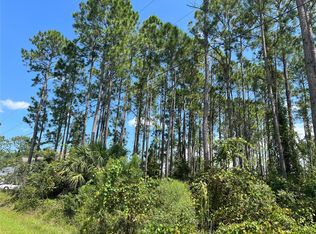 21 Ridley Ln, Palm Coast, FL 32164