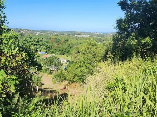 Carr 417 Bo Marias Carr #417, Aguada, PR 00602