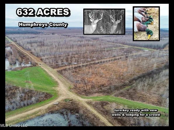 Catfish Rd, Isola, MS 38754