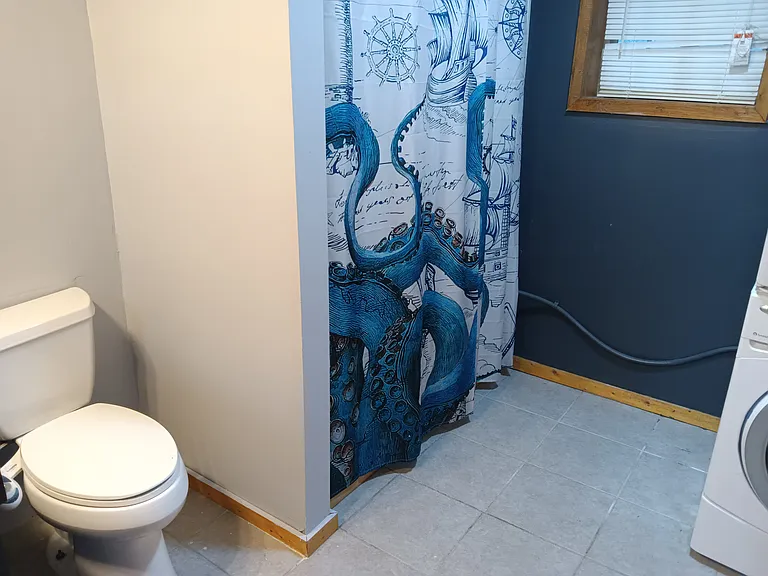 Lower level bathroom