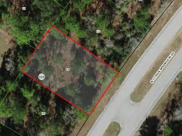 9170 N Citrus Springs Blvd, Citrus Springs, FL 34433