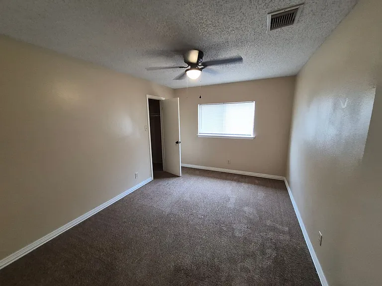 8007 Chestnut Bluff Dr — Photo 19