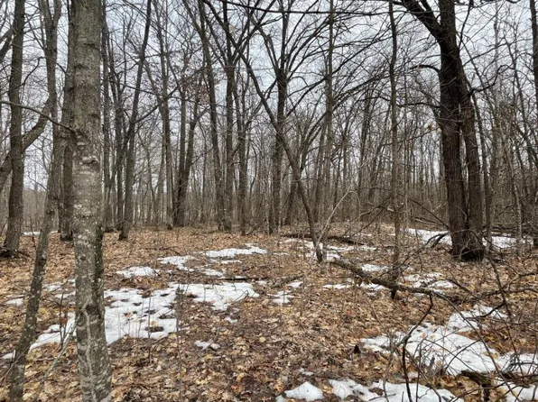 35569 Mission Rd, Ogema, MN 56569