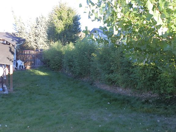 4th image of 1327 Placer Dr