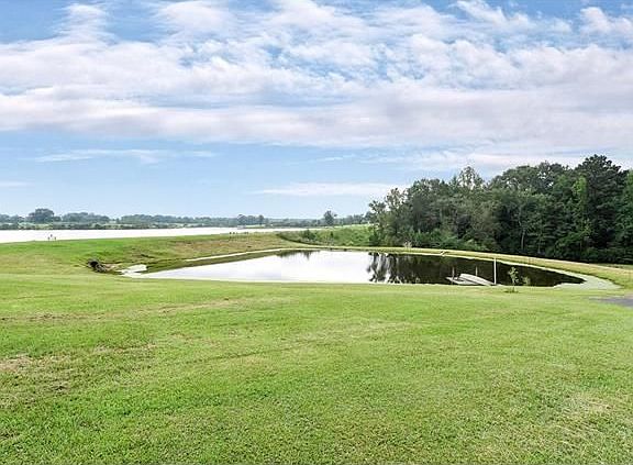5th image of 86 Golden Pond Ln