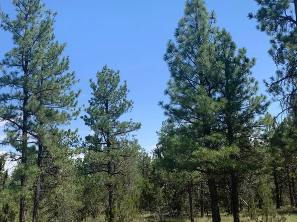 6373 Whispering Pine Dr, Happy Jack, AZ 86024