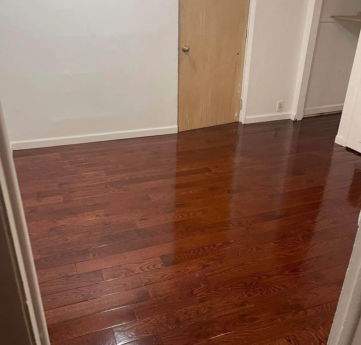 1 bed, $1,200 — Photo 3