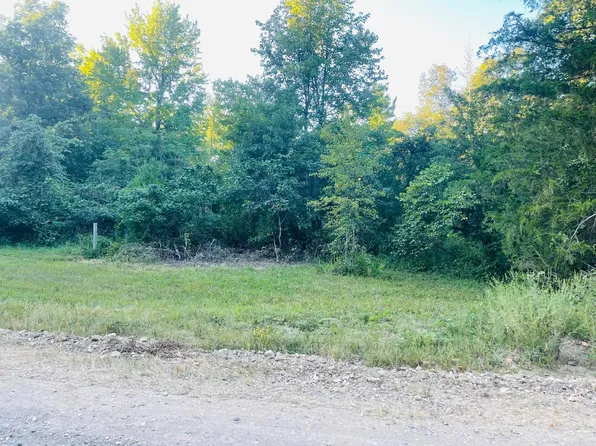 (undisclosed Address), Leslie, AR 72645