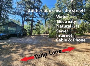 32754 Tulip Ln, Arrowbear Lake, CA 92382