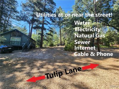 32754 Tulip Ln, Running Springs, CA, 92382