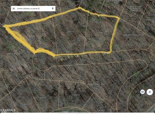 0 Hollow Ct, White Pine, TN 37890