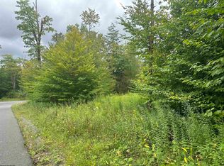 58 Venice Pl, Davis, WV 26260